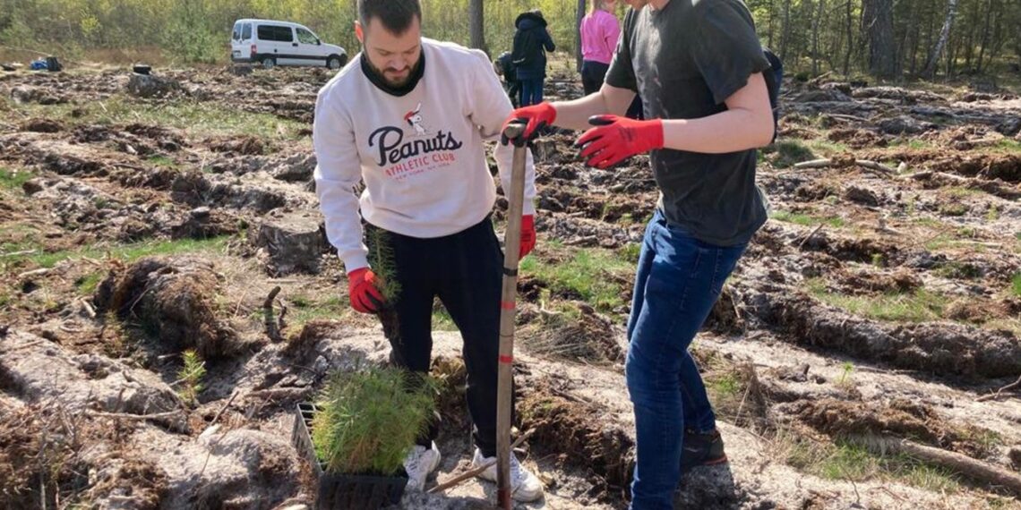 Wolontariusze EY GDS Polska zasadzą 4000 drzew