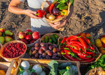 Dieta zdrowa dla nas i dla planety