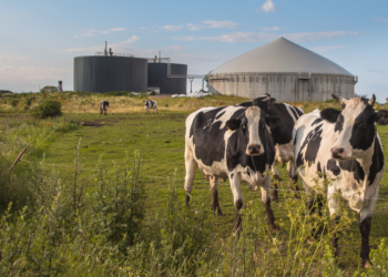 Polski biometan ma wielki potencjał rozwoju
